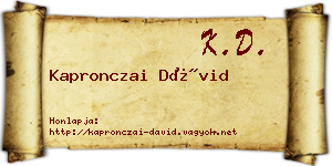 Kapronczai Dávid névjegykártya