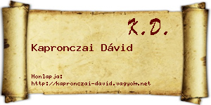 Kapronczai Dávid névjegykártya